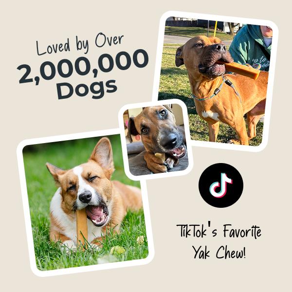 Mighty Paw Yak Cheese Dog Chews: All-Natural Treats for Your Pup