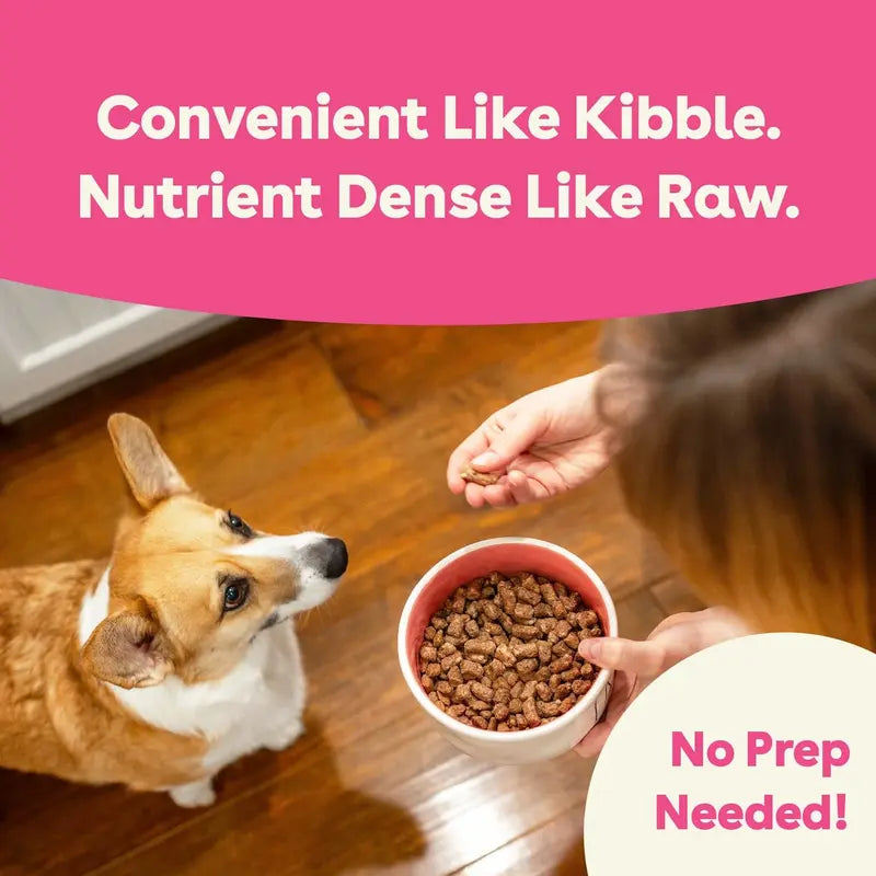 Freeze Dried Raw Good Dog Food By Pupford for your Pup Kibble