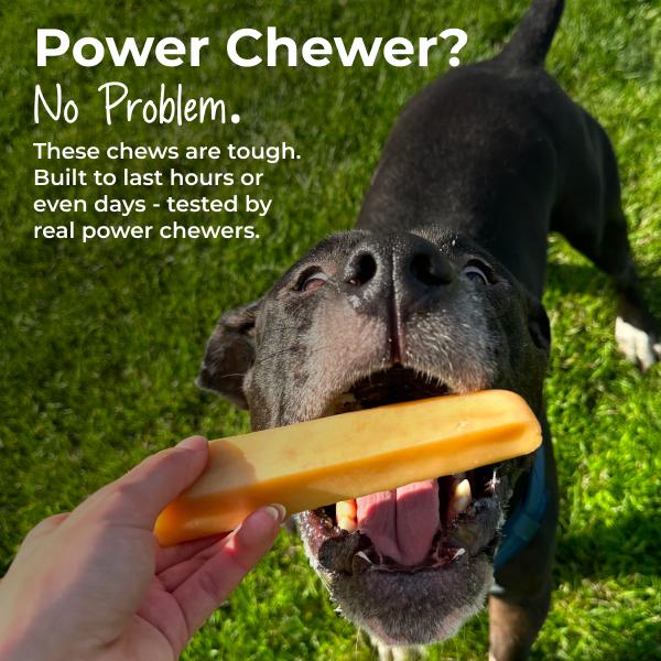 Mighty Paw Yak Cheese Dog Chews: All-Natural Treats for Your Pup