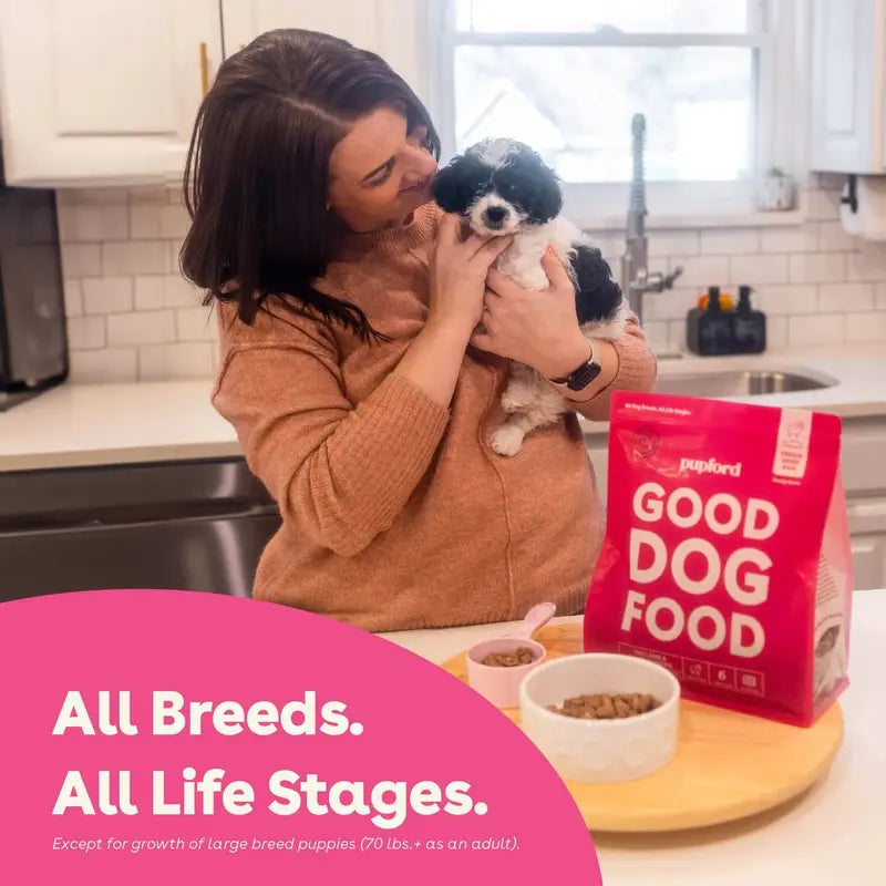Freeze Dried Raw Good Dog Food By Pupford for your Pup Kibble