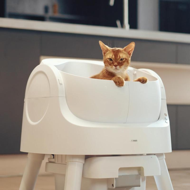 PetPivot AutoScooper 11 Open-Top Self-Cleaning Cat Litter Box,Odor-Free Waste Disposal includes Trash Bags
