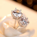 S925 Classic Zircon Earrings