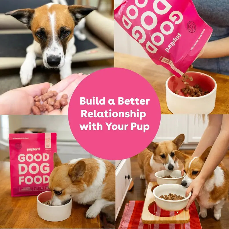 Freeze Dried Raw Good Dog Food By Pupford for your Pup Kibble