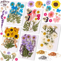 153 PCS Jewelry Making Kit, Beginner Resin Kit,Resin Accessories for Keychains, Jewelry, Earrings, Necklaces, Pendants,DIY Handmade Holiday Gift Crafts,Comes With Tutorial For Beginners,85Pcs Dried Flowers Kit - Let's Resin