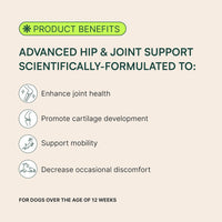 Wuffes Advanced Dog Hip and Joint Supplement with Glucosamine, Chondroitin, Omega 3, MSM, and Green Lipped Mussel, 30 Pork Flavored Chews for Large Dog Breeds