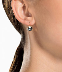 Swarovski Bella V Crystal Earrings, Grey, Yellow, Clear, Rose Color Crystals, Part of the Swarovski Bella V Collection
