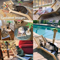 Beach Chair Cat Hammock, Elevated Cat Beds for Indoor Cats, Original Cozy Lounger with Sisal Scratcher and Toy Ball Heavy Duty Magnetic Garage Screen Door cat house cat hammock