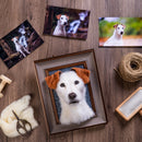 Framed Pet Portrait-Dog