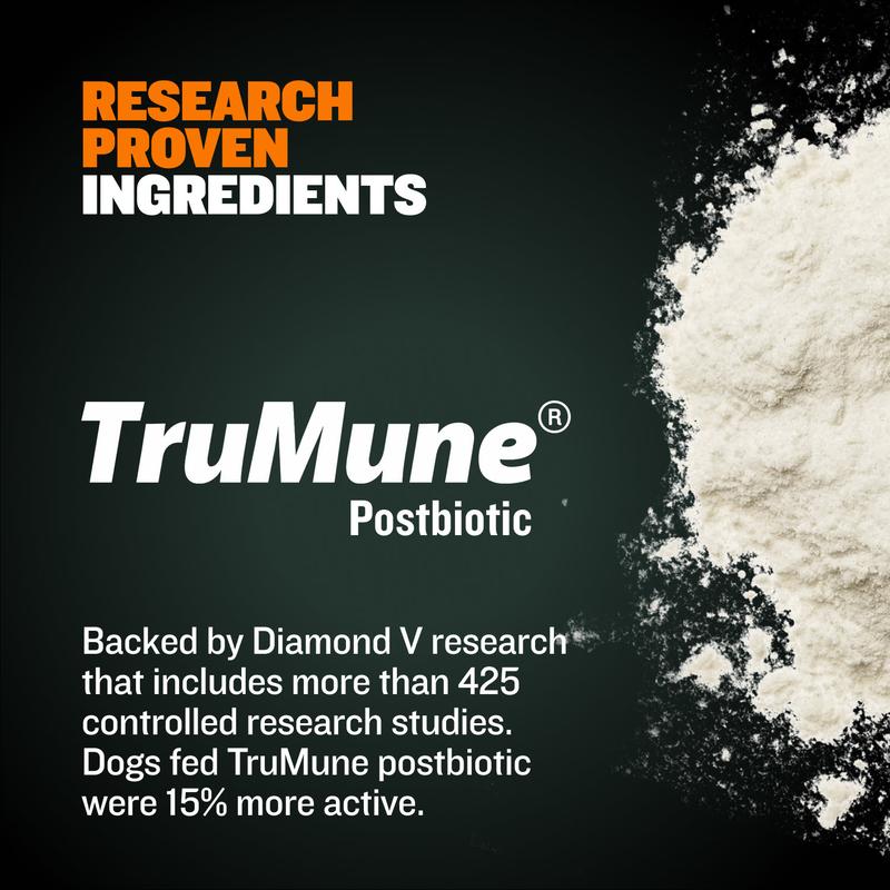 Bully Max 30/20 High Protein Dog Food 535 Calories per Cup with TruMune Technology, Supports Muscle Growth, Made in the USA, Suitable for All Ages