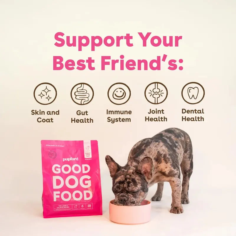 Freeze Dried Raw Good Dog Food By Pupford for your Pup Kibble