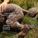 Omega 3 Fish Oil for Dogs & Cats - Promotes Healthy Skin, Shiny Coat, & Strong Joints