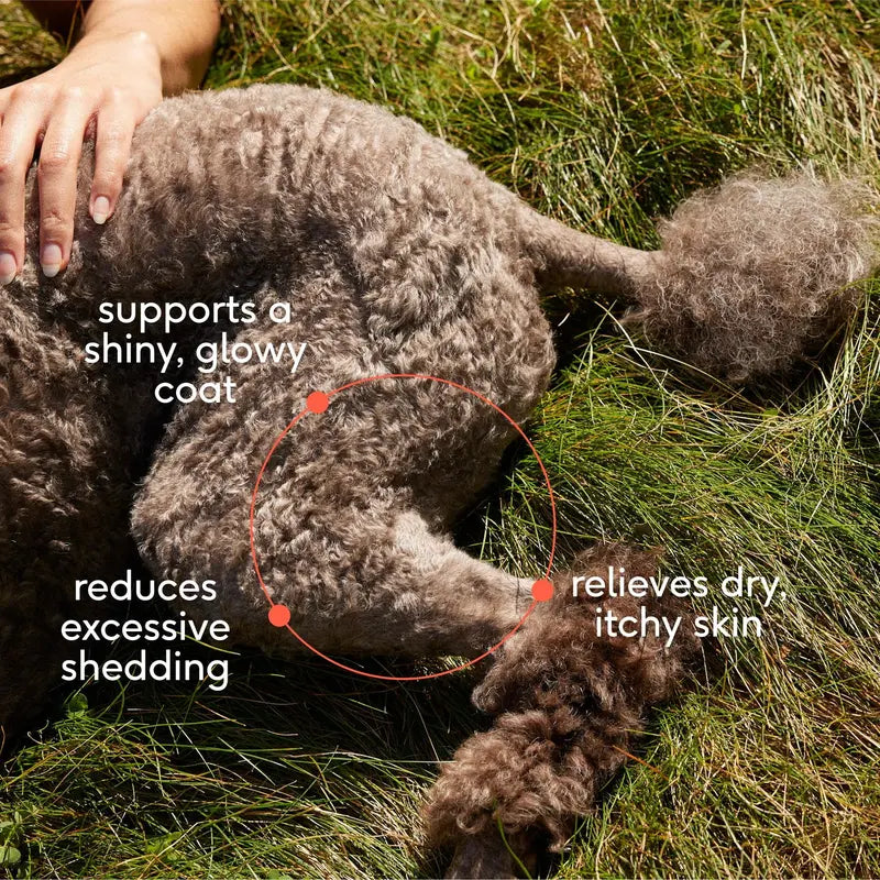 Omega 3 Fish Oil for Dogs & Cats - Promotes Healthy Skin, Shiny Coat, & Strong Joints