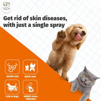 Cassiel Pet-Pet Skin Sprays for Dogs & Cats - Nature Soothing Spray for Clean and Soft Skin, Reduces Itchy Scratching
